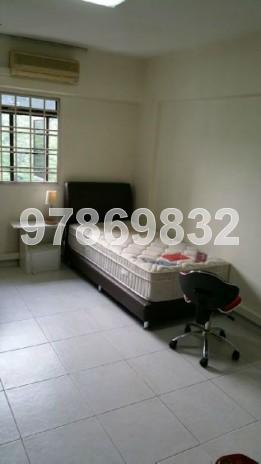 Blk 117 Clementi Street 13 (Clementi), HDB 4 Rooms #69281282